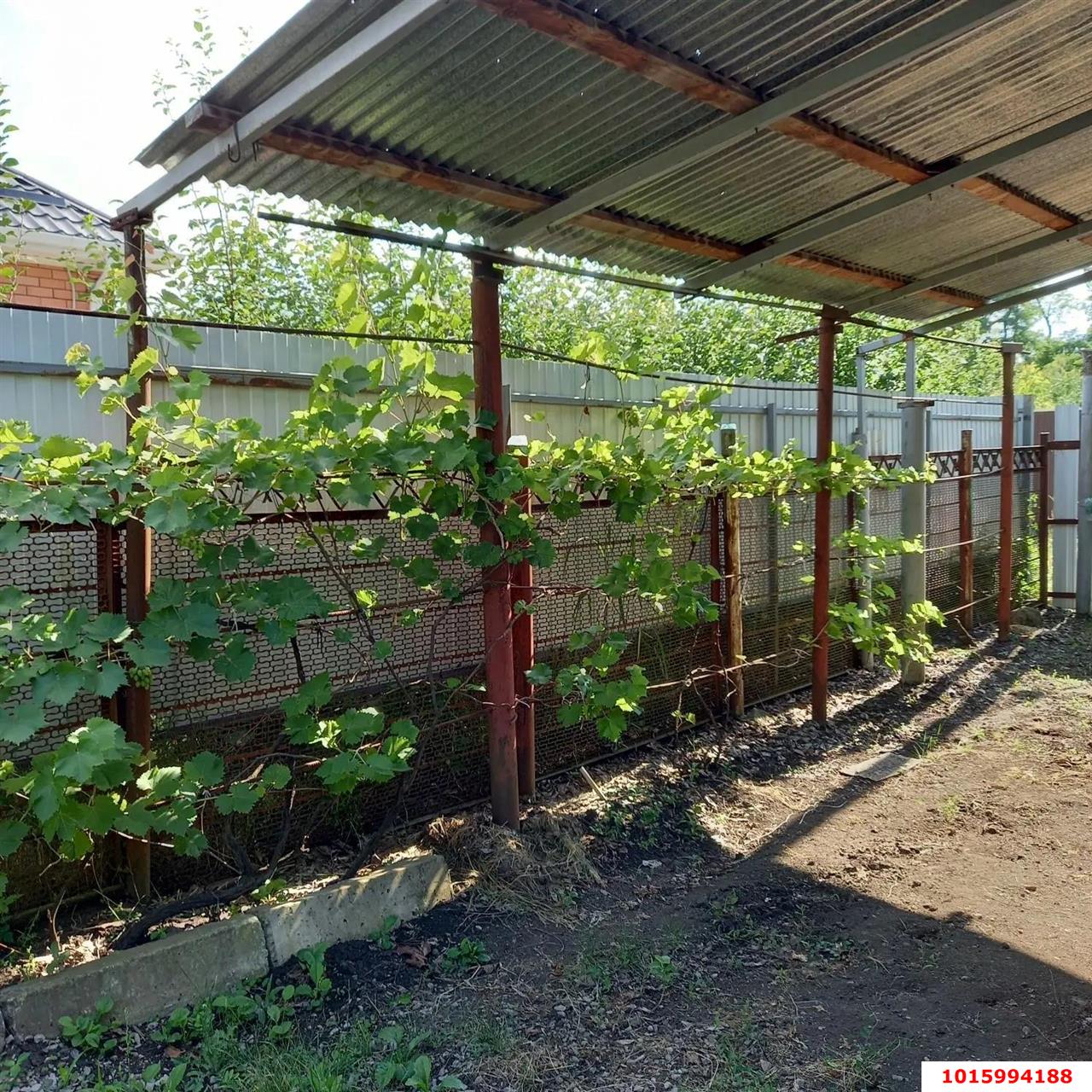 Фото №3: Личное подсобное хозяйство 8.02&nbsp;сот. - СНТ Победитель, мкр. Прикубанский внутригородской округ, ул. Лазарева, 390
