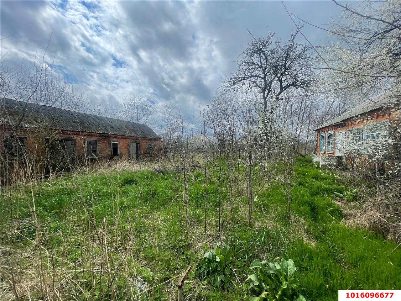 Фото №6: Земельный участок под ИЖС 48&nbsp;сот. - Старобжегокай, ул. Калинина, 36