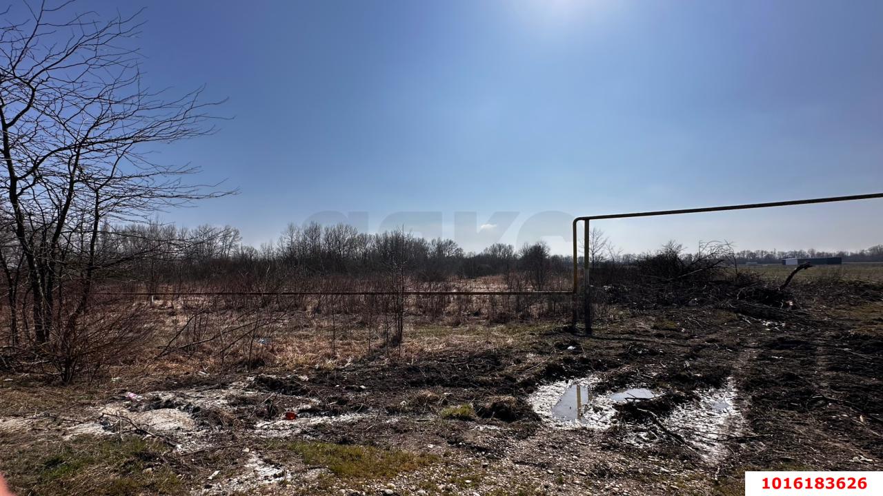 Фото №4: Коммерческая земля 300&nbsp;сот. - СНТ Авиатор, ул. Авиаторов
