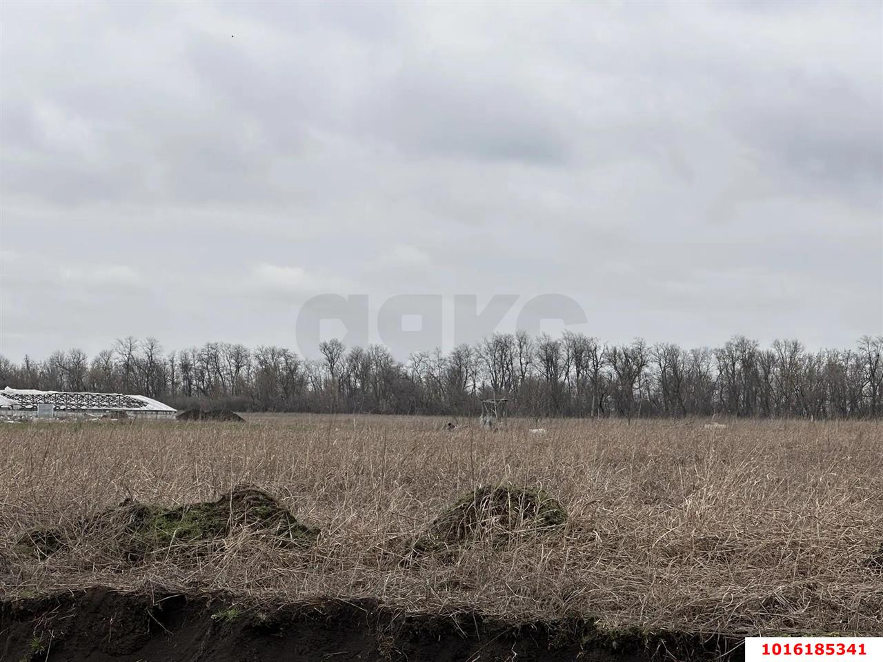 Фото №1: Земельный участок под ИЖС 100&nbsp;сот. - Дружелюбный, мкр. Прикубанский внутригородской округ