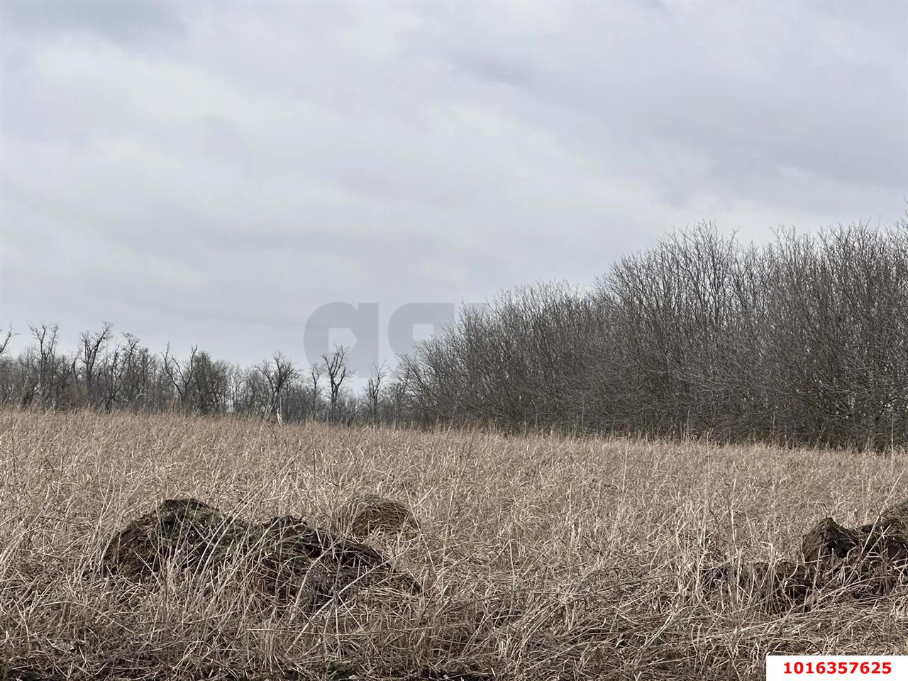 Фото №3: Земельный участок под ИЖС 79.68&nbsp;сот. - Дружелюбный, мкр. Прикубанский внутригородской округ