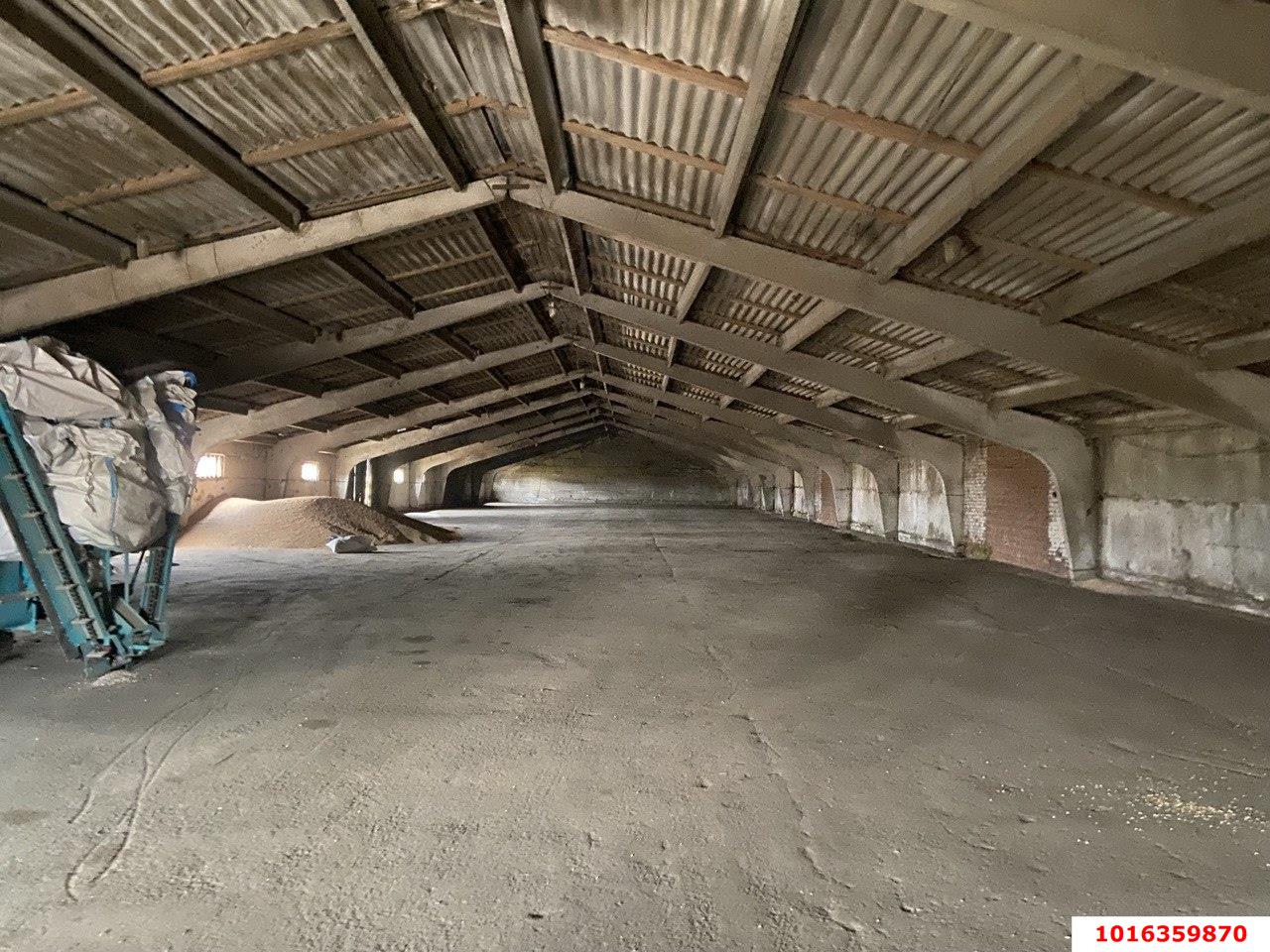 Фото №5: Коммерция 3952&nbsp;м², 1/1&nbsp;эт. - Староминская, мкр. Плодосовхоз, ул. Калинина, 175
