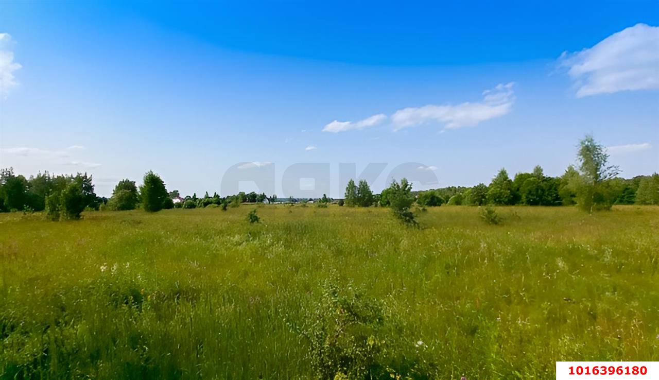 Фото №5: Коммерческая земля 43.88&nbsp;сот. - Ленинский, ул. Центральная