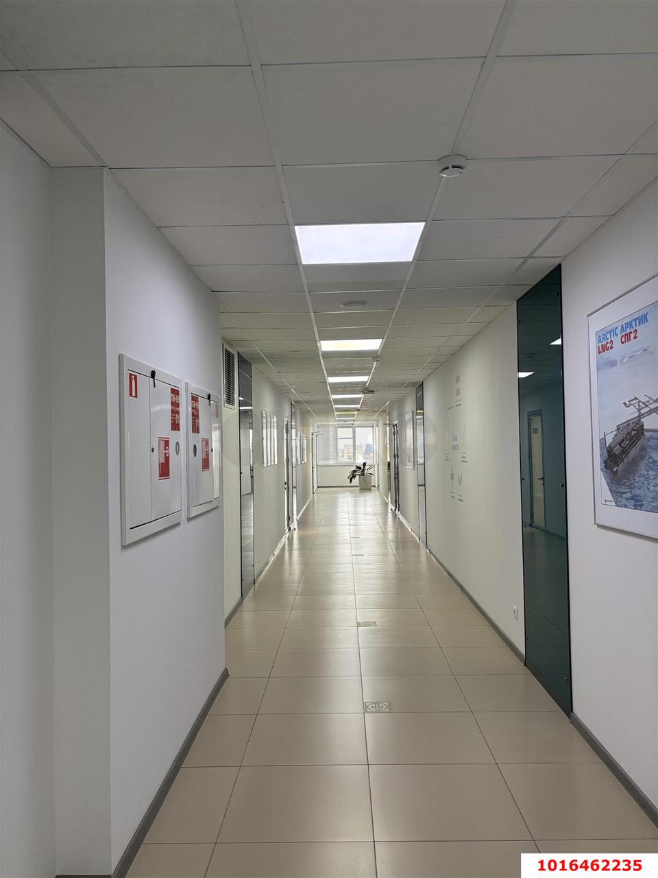 Фото №4: Офисное помещение 463&nbsp;м², 10/10&nbsp;эт. - Краснодар, Центральный внутригородской округ, мкр. Центральный, ул. Красная, 118