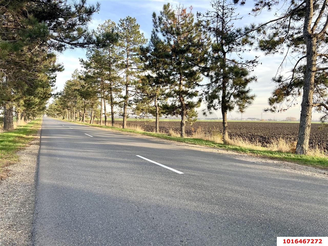 Фото №5: Коммерческая земля 10&nbsp;сот. - Лазурный, мкр. Прикубанский внутригородской округ, ул. Черноморская