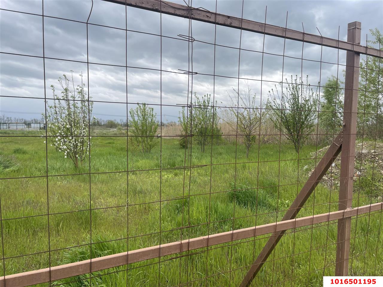 Фото №5: Коммерческая земля 31.26&nbsp;сот. - Краснодар, мкр. Карасунский внутригородской округ