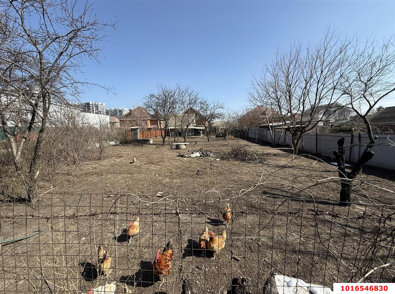 Фото №7: Земельный участок под ИЖС 5&nbsp;сот. - Краснодар, Прикубанский внутригородской округ, Калинино, мкр. Завод Радиоизмерительных Приборов, ул. Сергиевская, 71