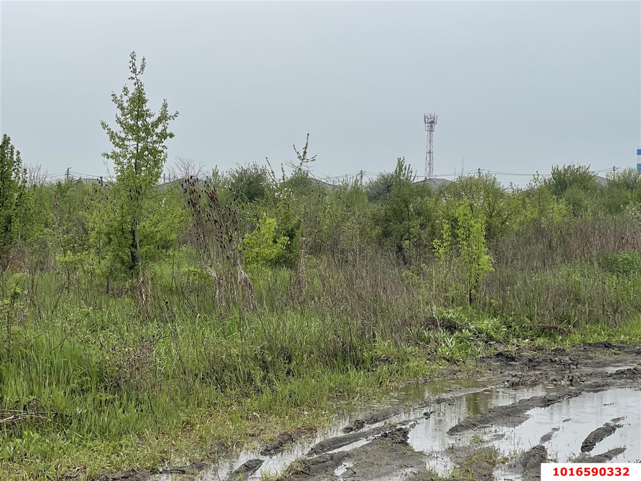 Фото №5: Земельный участок под ИЖС 22&nbsp;сот. - Тлюстенхабль