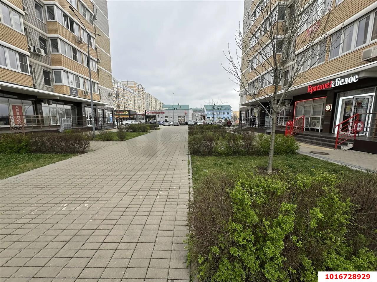 Фото №18: Студия 27&nbsp;м², 6/12&nbsp;эт. - Краснодар, Прикубанский внутригородской округ, Славянский, мкр. Светлоград, ул. Красных Партизан, 1/3к10