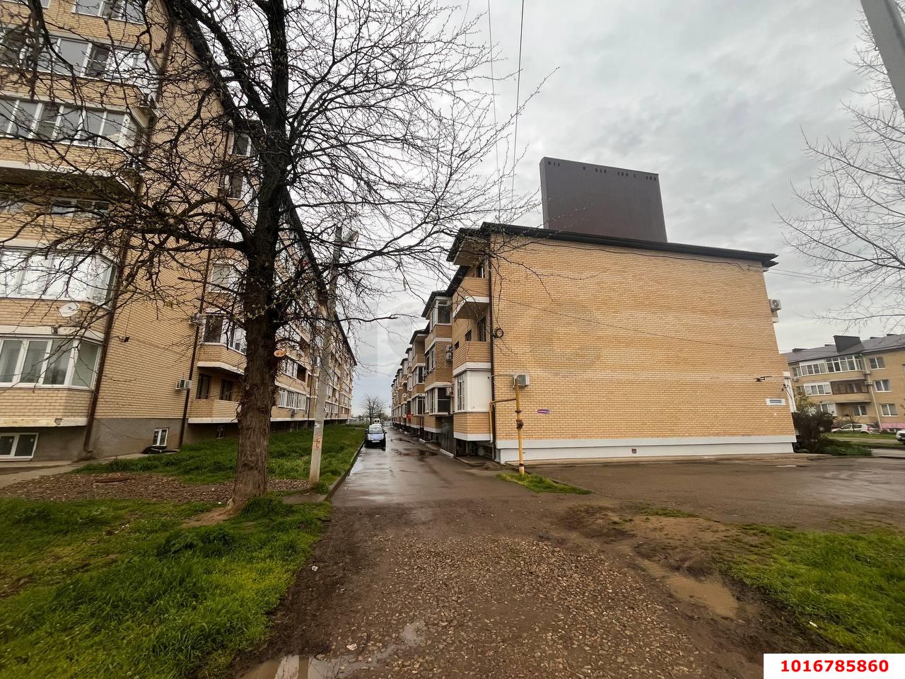 Фото №3: Торговое помещение 34&nbsp;м², -1/5&nbsp;эт. - Краснодар, мкр. Прикубанский внутригородской округ, ул. им. Сорока А.М., 4/1