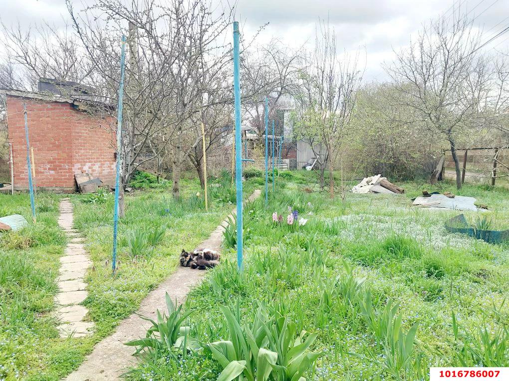 Фото №18: Дом 64&nbsp;м² + 4.4&nbsp;сот., 1&nbsp;эт. - Железнодорожник, мкр. Карасунский внутригородской округ, ул. Припутевая, 7