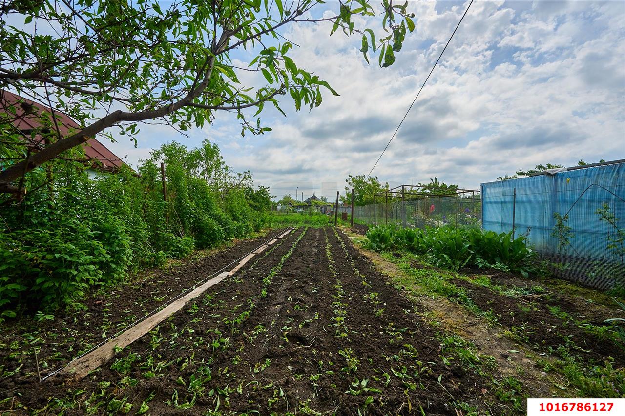 Фото №8: Дом 38&nbsp;м² + 8&nbsp;сот., 1&nbsp;эт. - Агроном, ул. Садовая, 12
