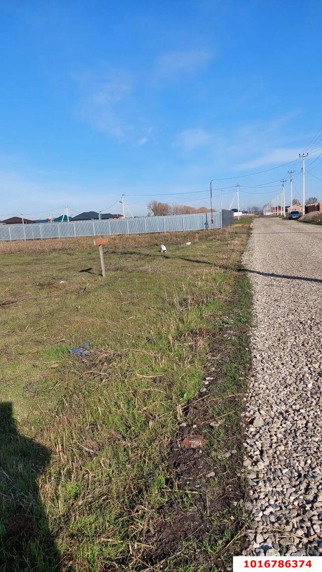 Фото №4: Земельный участок под ИЖС 8.1&nbsp;сот. - Агроном, ул. им. М.П. Братчиковой, 47