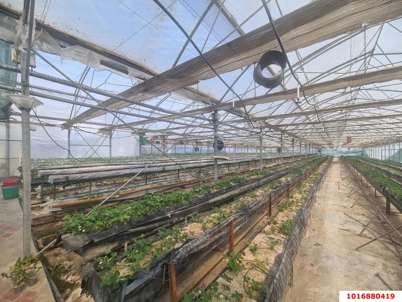 Фото №4: Производственное помещение 2200&nbsp;м², 1/1&nbsp;эт. - Молдаванский, ул. Октябрьская