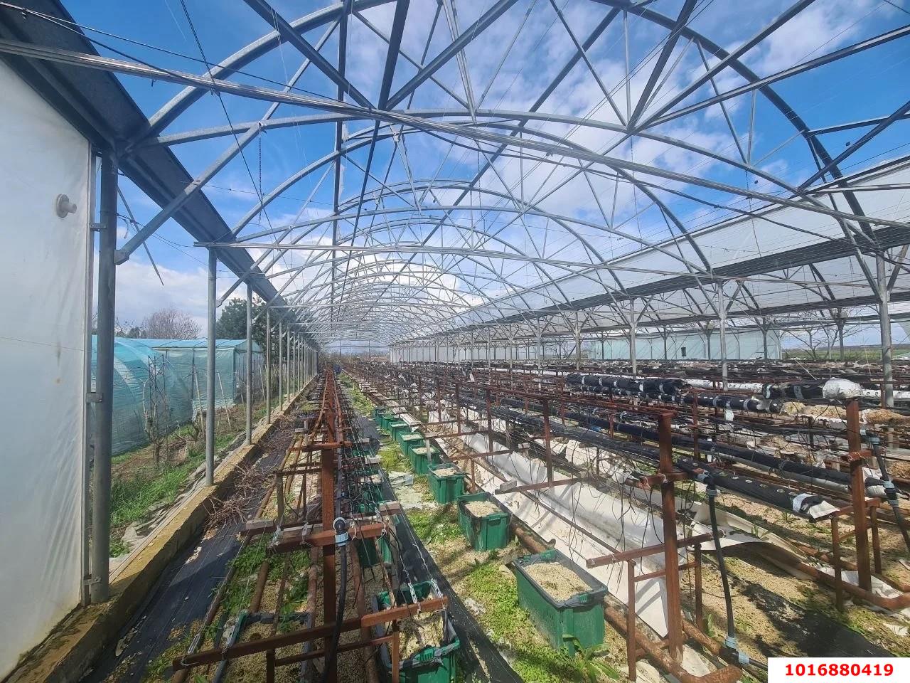 Фото №10: Производственное помещение 2200&nbsp;м², 1/1&nbsp;эт. - Молдаванский, ул. Октябрьская