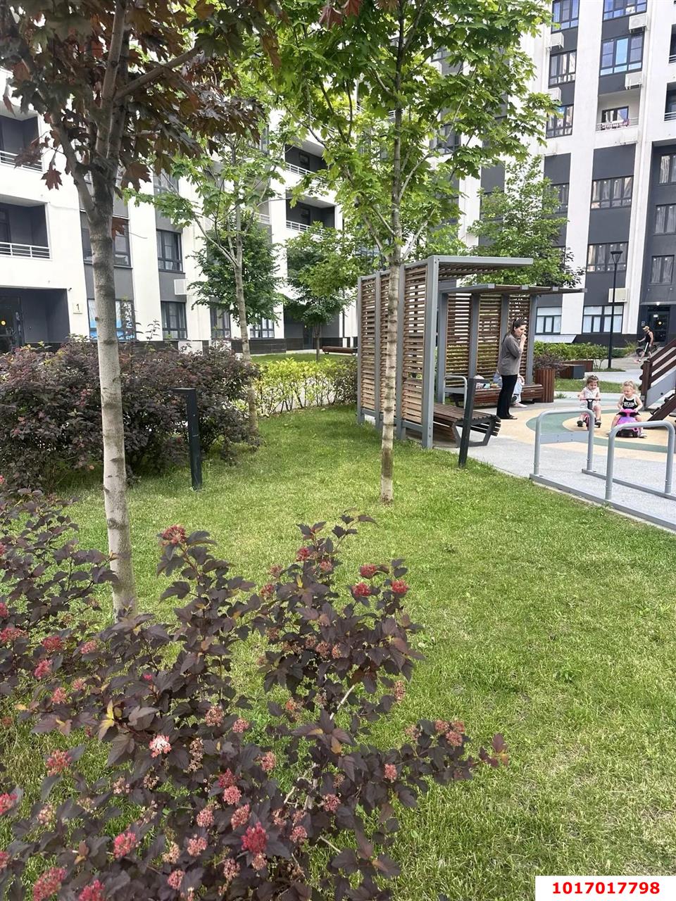 Фото №3: Студия 32&nbsp;м², 5/19&nbsp;эт. - Краснодар, Прикубанский внутригородской округ, мкр. жилой комплекс Новелла, ул. Питерская, 40