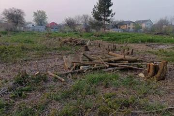 Фото №1: Дом 34 м² + 16 сот., 1 эт. - Старокорсунская, мкр. Карасунский внутригородской округ, ул. Чонгарская