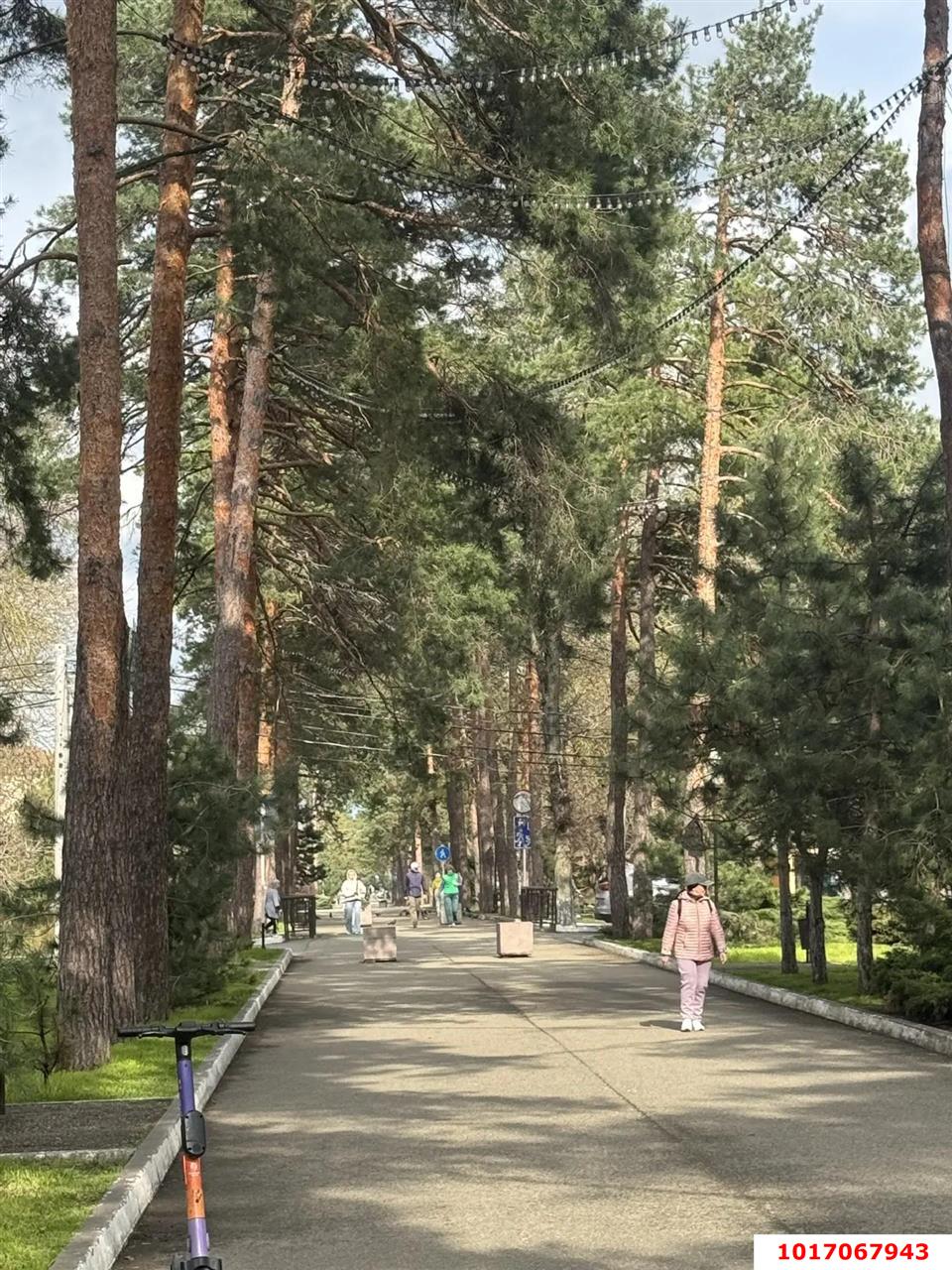 Фото №8: Личное подсобное хозяйство 7&nbsp;сот. - Горячий Ключ, мкр. Курортная Зона, ул. Радищева, 26