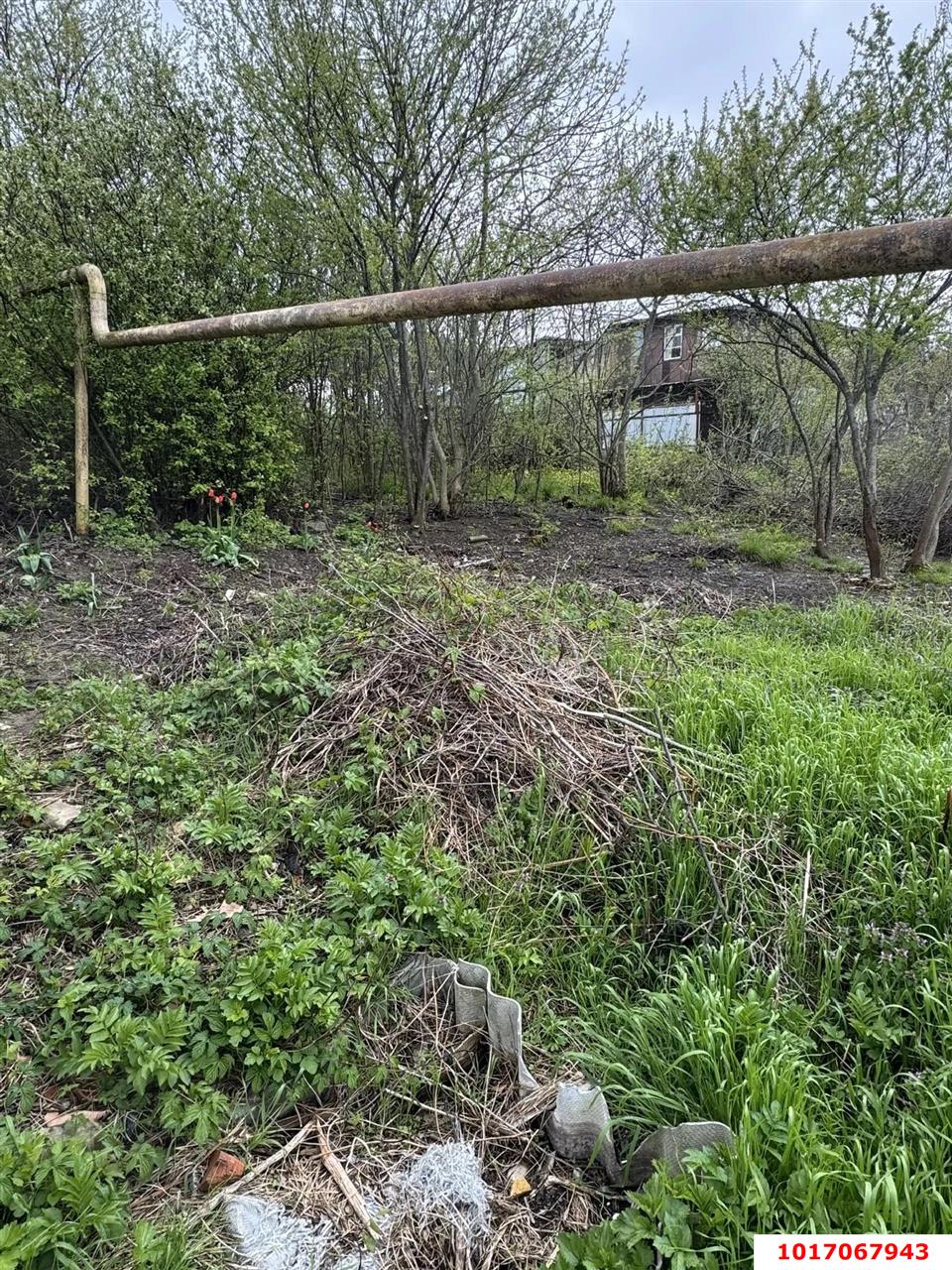 Фото №5: Личное подсобное хозяйство 7&nbsp;сот. - Горячий Ключ, мкр. Курортная Зона, ул. Радищева, 26