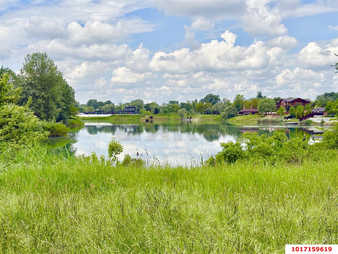 Фото №5: Личное подсобное хозяйство 41.5&nbsp;сот. - СНТ Чистые Пруды