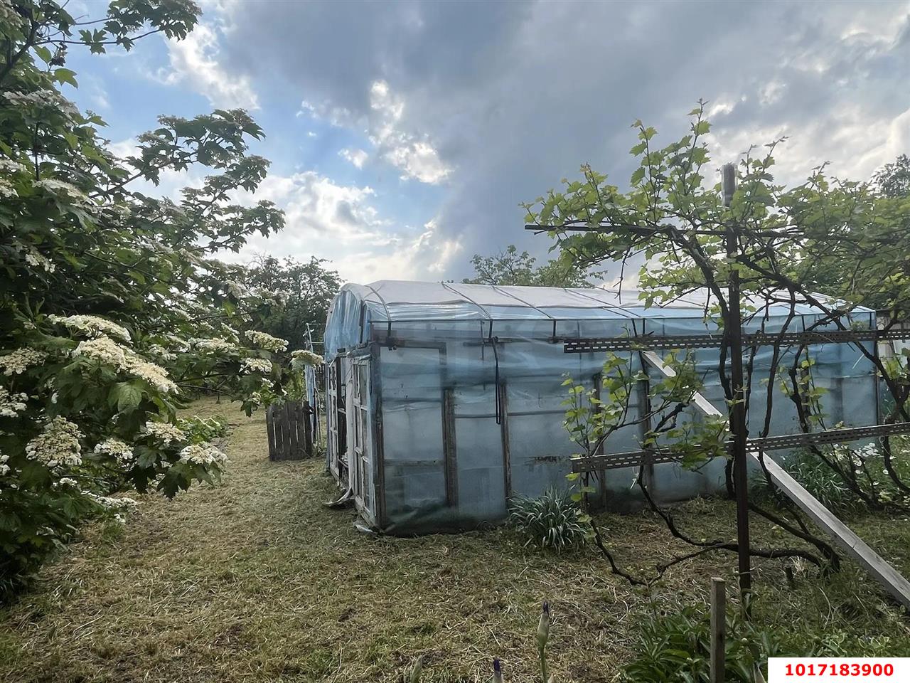 Фото №7: Дом 70&nbsp;м² + 8.02&nbsp;сот., 1&nbsp;эт. - Октябрьский, Прикубанский внутригородской округ, ст Луч, ул. Садовая, 84