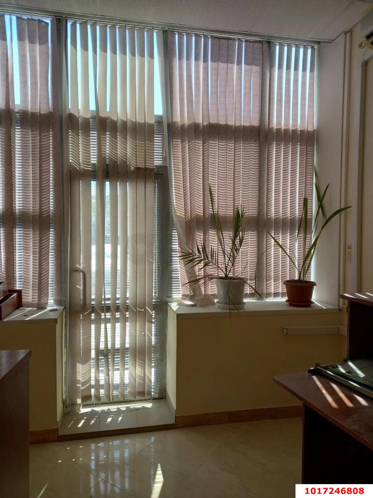 Фото №8: Торговое помещение 296&nbsp;м², 1/8&nbsp;эт. - Новороссийск, р. Приморский, ул. Видова, 65