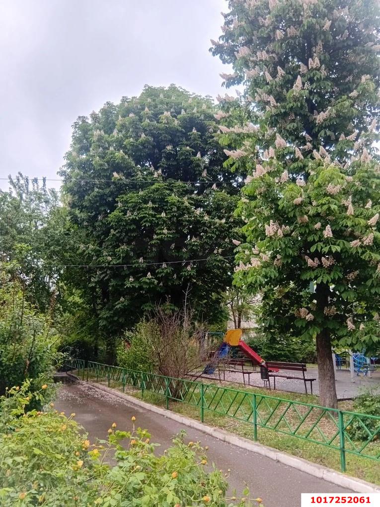 Фото №10: 1-комнатная квартира 40&nbsp;м², 9/10&nbsp;эт. - Краснодар, Прикубанский внутригородской округ, мкр. имени Н.И. Вавилова, ул. Вавилова, 18к1