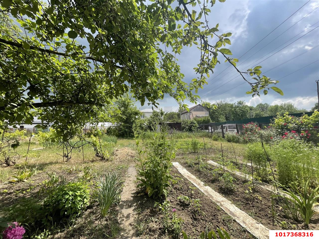 Фото №3: Дом 30&nbsp;м² + 4&nbsp;сот., 1&nbsp;эт. - Знаменский, Карасунский внутригородской округ, мкр. дачное товарищество Гидростроитель, ул. Садовая