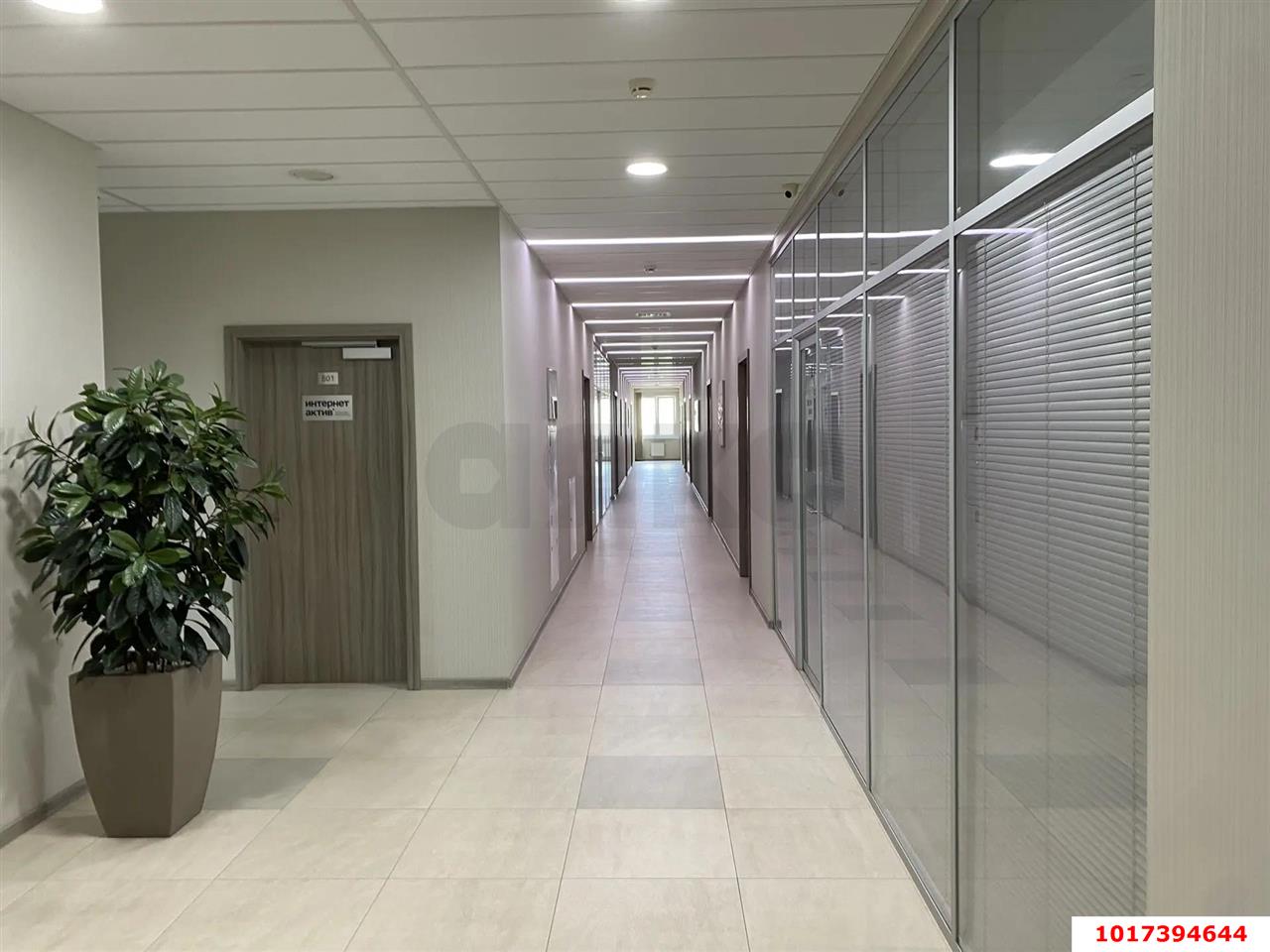 Фото №8: Офисное помещение 40&nbsp;м², 5/6&nbsp;эт. - Краснодар, Центральный внутригородской округ, мкр. Центральный, ул. Митрофана Седина, 157