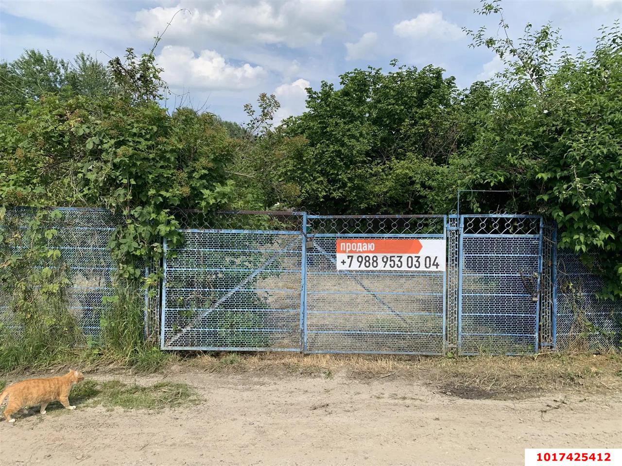 Фото №6: Личное подсобное хозяйство 3.9&nbsp;сот. - Виктория, мкр. Карасунский внутригородской округ, ул. Персиковая