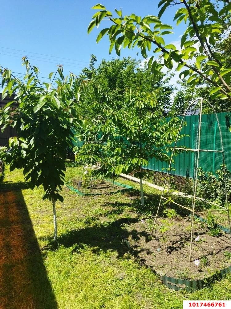 Фото №4: Дом 152&nbsp;м² + 3.95&nbsp;сот., 2&nbsp;эт. - Ветеран, мкр. Прикубанский внутригородской округ, ул. Ореховая
