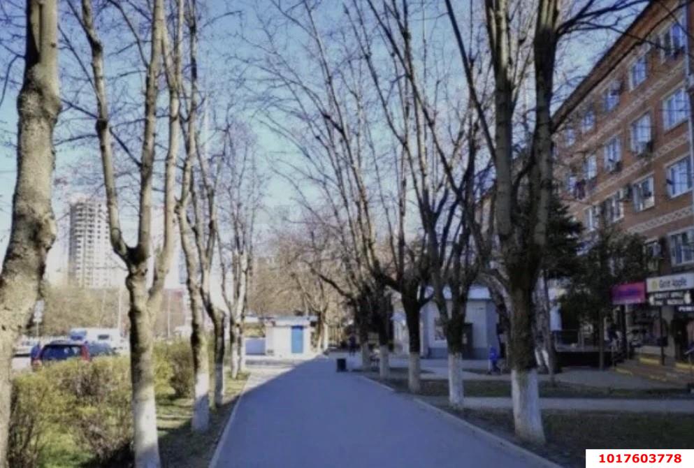 Фото №3: Офисное помещение 13&nbsp;м², 1/5&nbsp;эт. - Краснодар, Прикубанский внутригородской округ, мкр. Фестивальный, ул. Атарбекова, 52