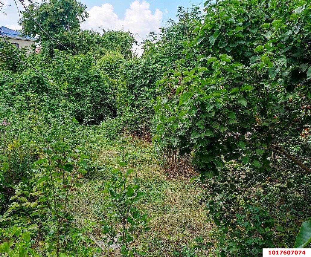 Фото №8: Дом 36&nbsp;м² + 8.46&nbsp;сот., 1&nbsp;эт. - Дружба, мкр. Карасунский внутригородской округ, ул. Ореховая