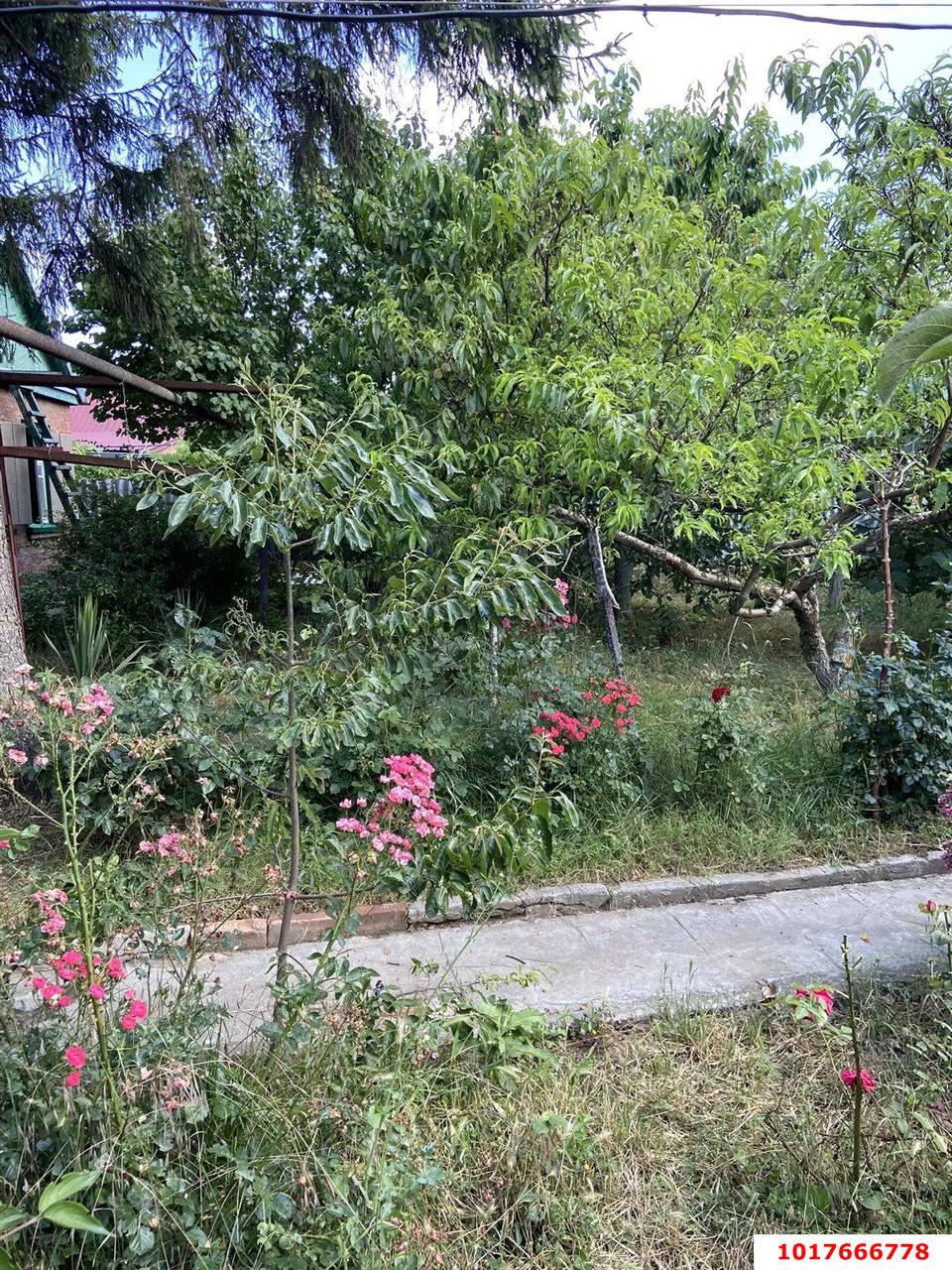 Фото №15: Дом 45&nbsp;м² + 4.3&nbsp;сот., 1&nbsp;эт. - Краснодар, Центральный внутригородской округ, Черёмушки, мкр. Дубинка, ул. Нижняя, 10