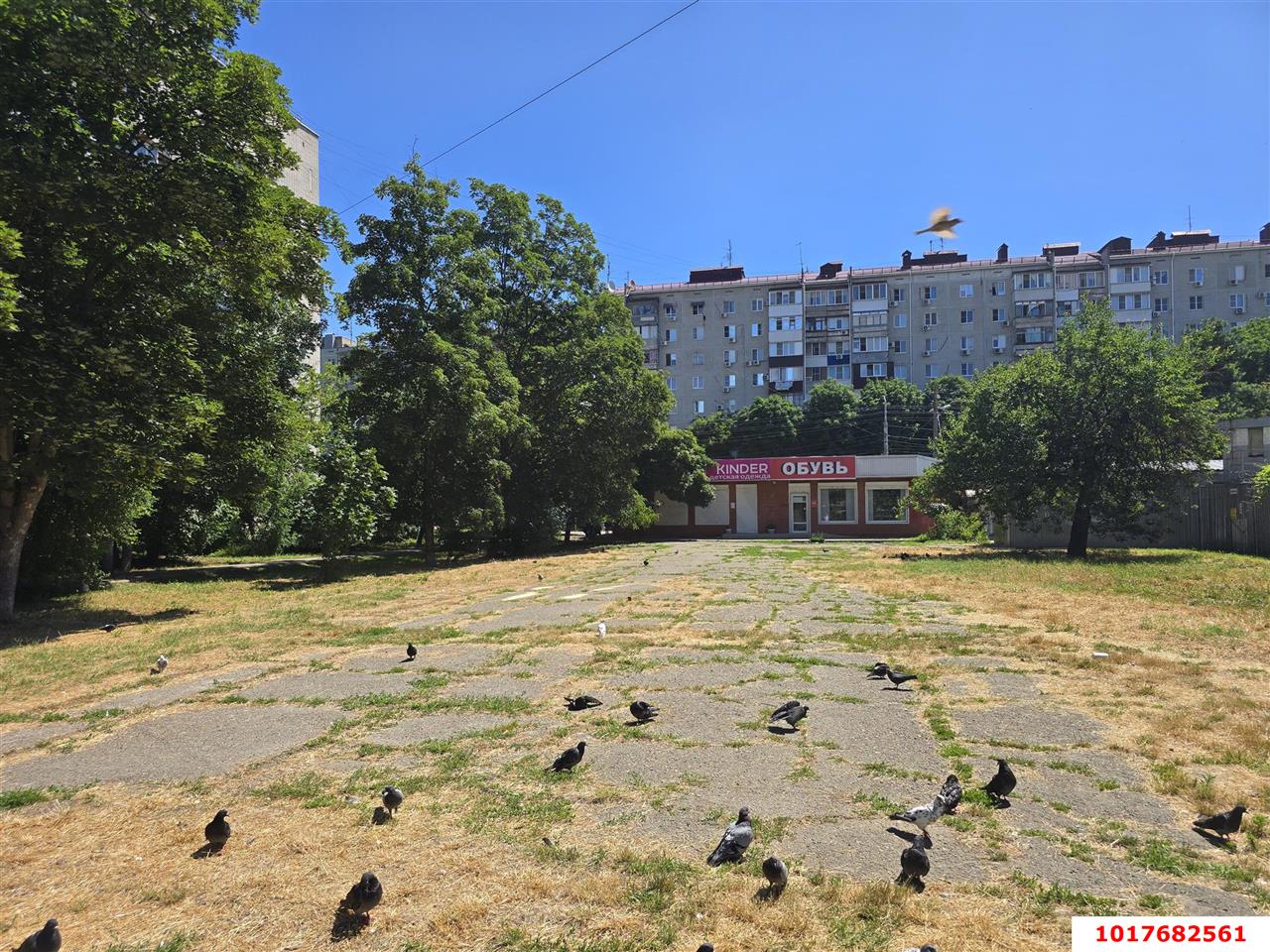 Фото №5: Торговое помещение 560&nbsp;м², 1/1&nbsp;эт. - Краснодар, Карасунский внутригородской округ, мкр. Гидростроителей, ул. Трудовой Славы, 23/1