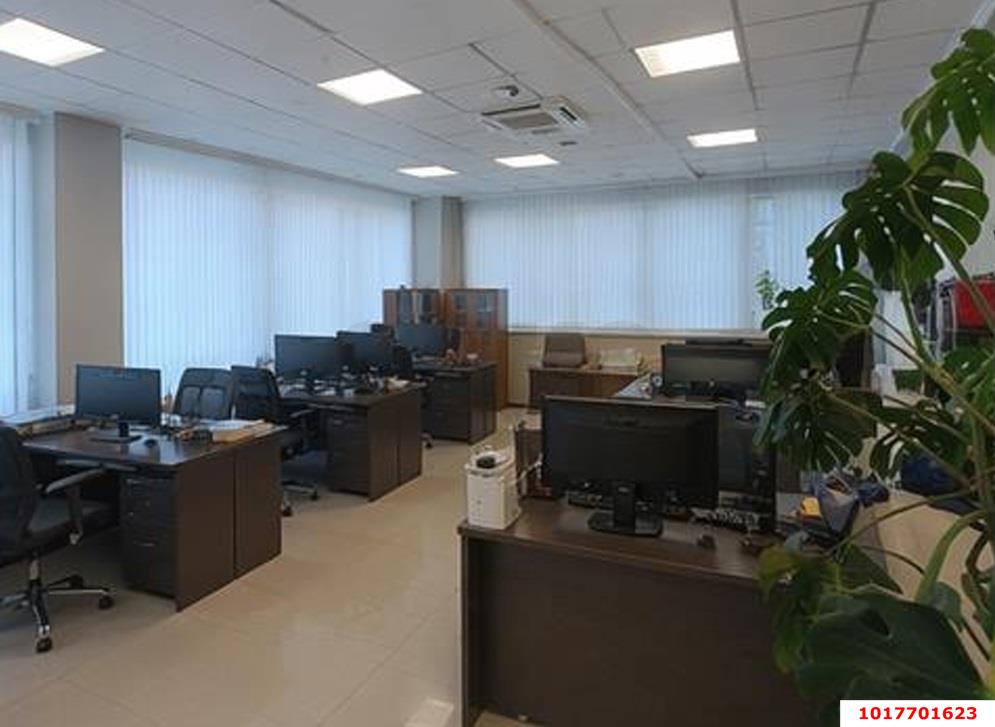 Фото №5: Офисное помещение 1300&nbsp;м², 4/5&nbsp;эт. - Краснодар, Карасунский внутригородской округ, мкр. Хлопчато-бумажный Комбинат, ул. Уральская, 75/1