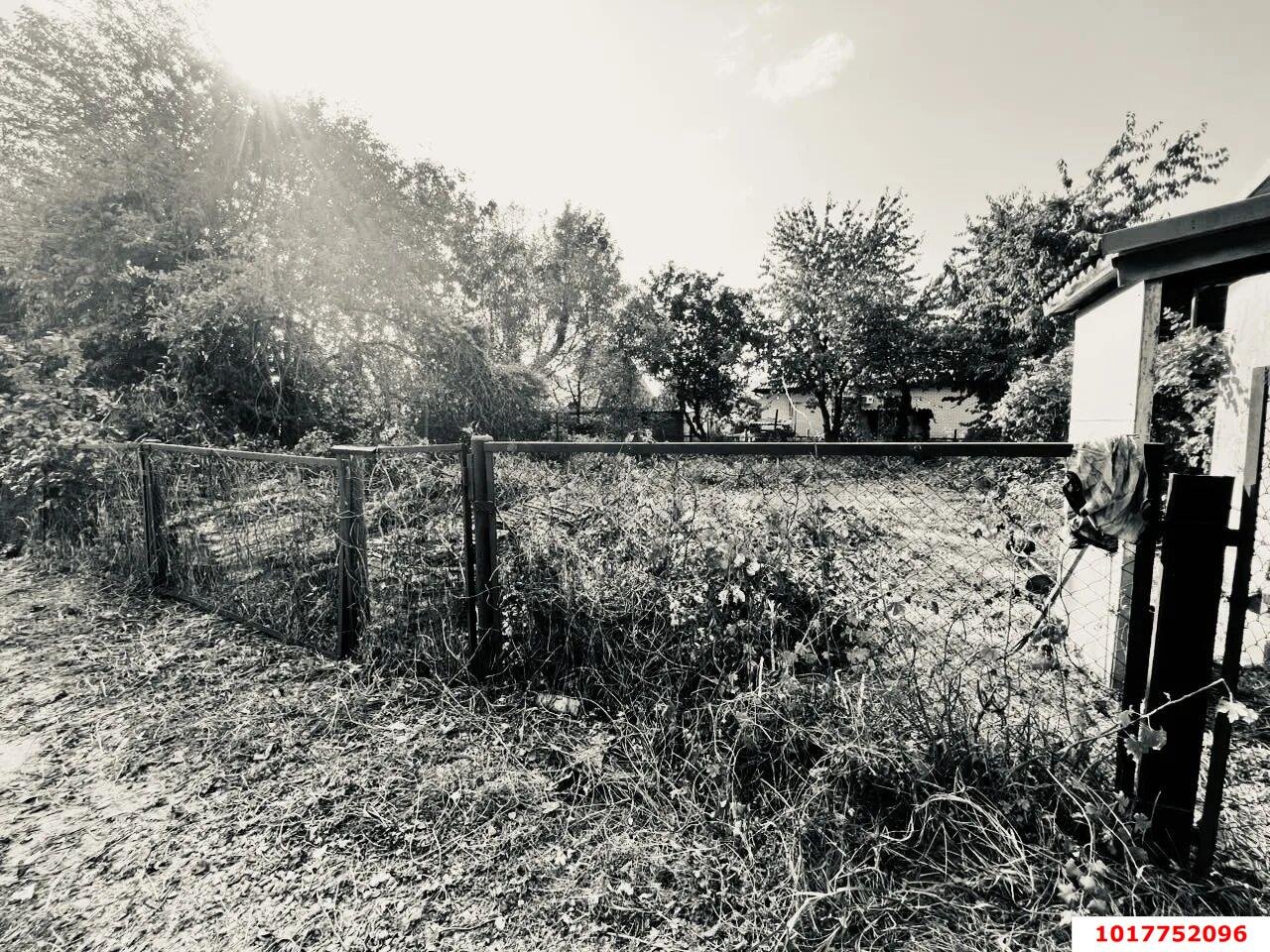 Фото №6: Личное подсобное хозяйство 5&nbsp;сот. - СТ Мелиоратор, ул. Черешневая, 20