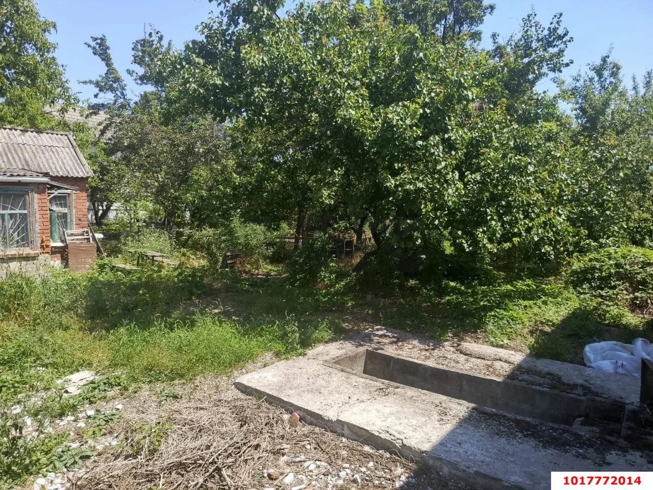 Фото №5: Личное подсобное хозяйство 5&nbsp;сот. - СНТ 50 лет Октября, мкр. Прикубанский внутригородской округ, ул. Цветочная, 163