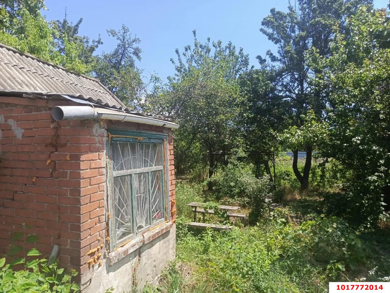 Фото №6: Личное подсобное хозяйство 5&nbsp;сот. - СНТ 50 лет Октября, мкр. Прикубанский внутригородской округ, ул. Цветочная, 163