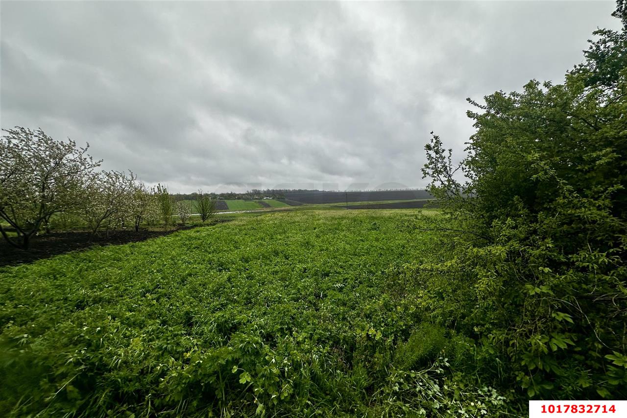 Фото №1: Земельный участок под ИЖС 38.8&nbsp;сот. - Чаплыгин, ул. Школьная, 16