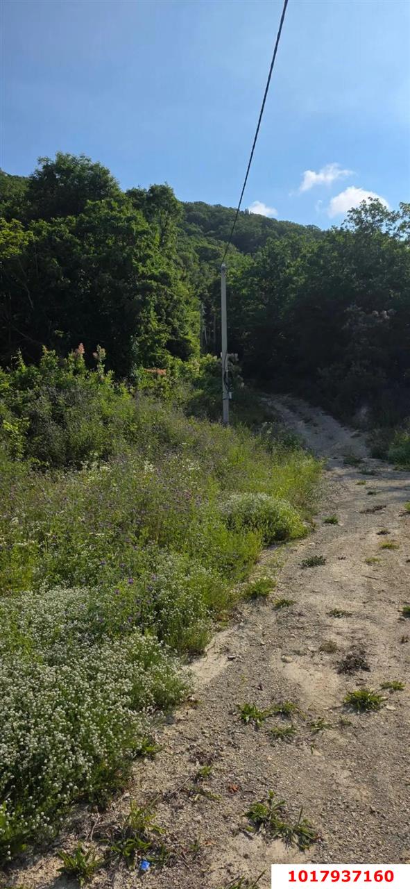Фото №15: Земельный участок под ИЖС 7&nbsp;сот. - Ольгинка, мкр. квартал Лесной, 19