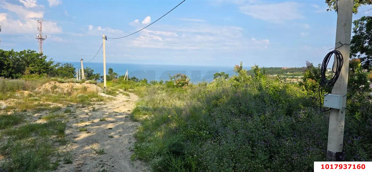 Фото №7: Земельный участок под ИЖС 7&nbsp;сот. - Ольгинка, мкр. квартал Лесной, 19