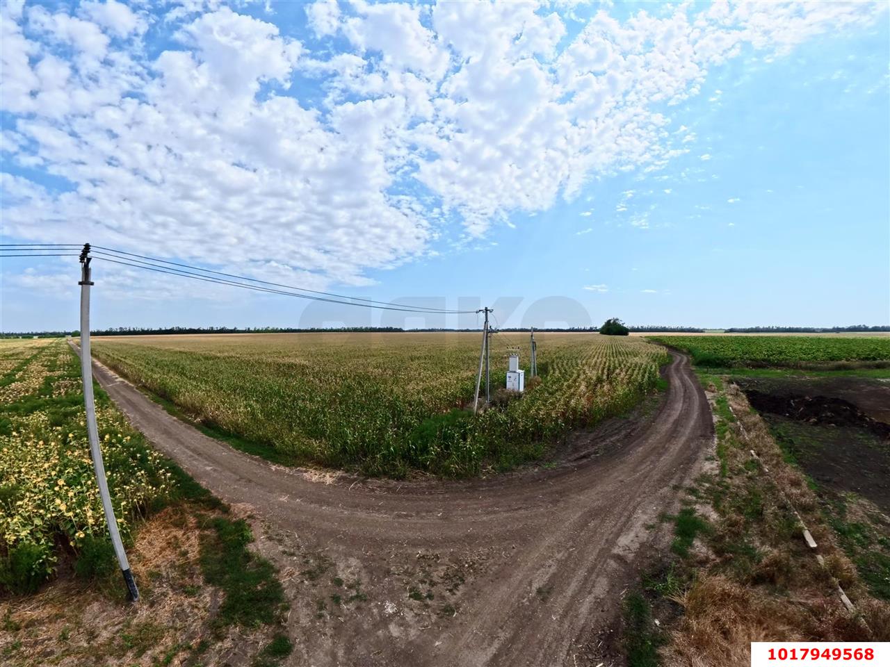 Фото №8: Коммерческая земля 360.46&nbsp;сот. - Краснодарский край Динской район