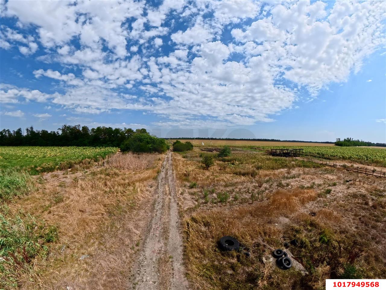 Фото №6: Коммерческая земля 360.46&nbsp;сот. - Краснодарский край Динской район