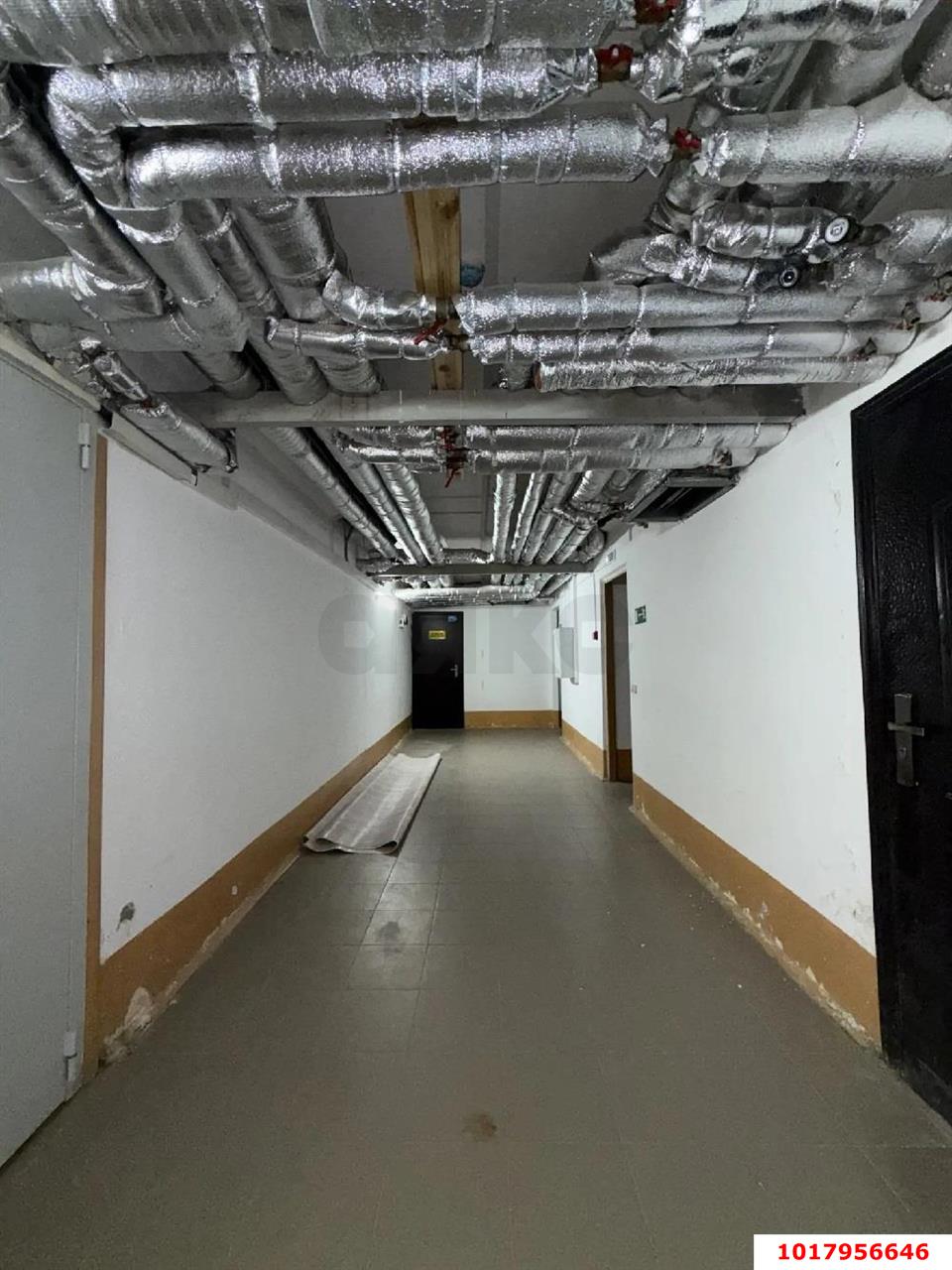Фото №14: Студия 19&nbsp;м² - Краснодар, Прикубанский внутригородской округ, мкр. Молодёжный, ул. Душистая, 37
