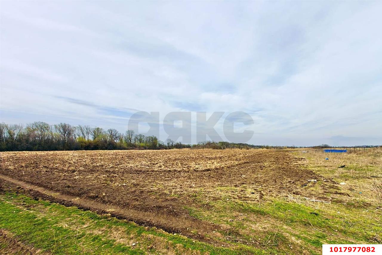 Фото №3: Коммерческая земля 287&nbsp;сот. - Тахтамукай, ул. Чапаева, 24