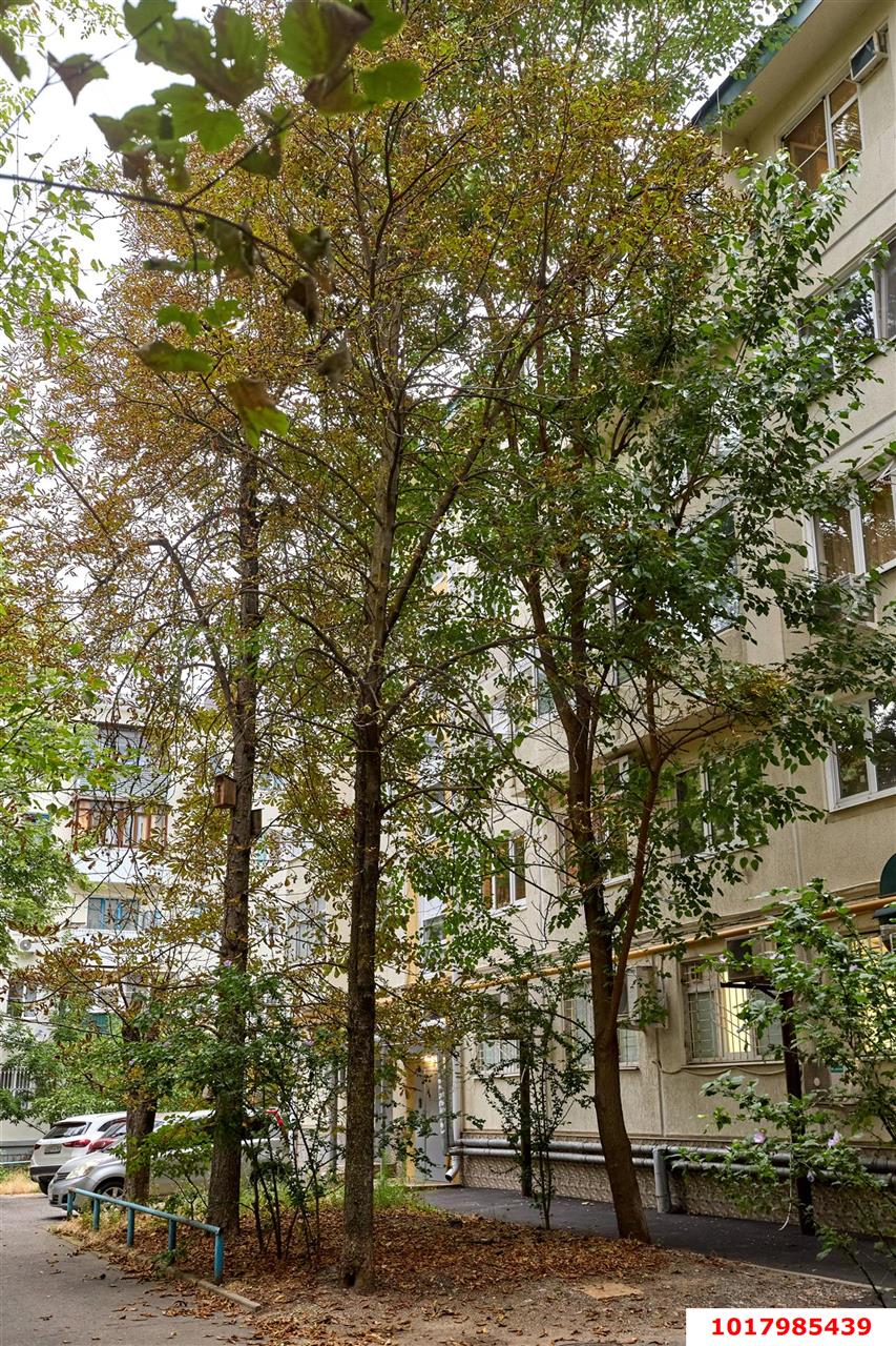 Фото №11: 2-комнатная квартира 50&nbsp;м², 4/5&nbsp;эт. - Краснодар, мкр. Западный внутригородской округ, ул. Красная, 159
