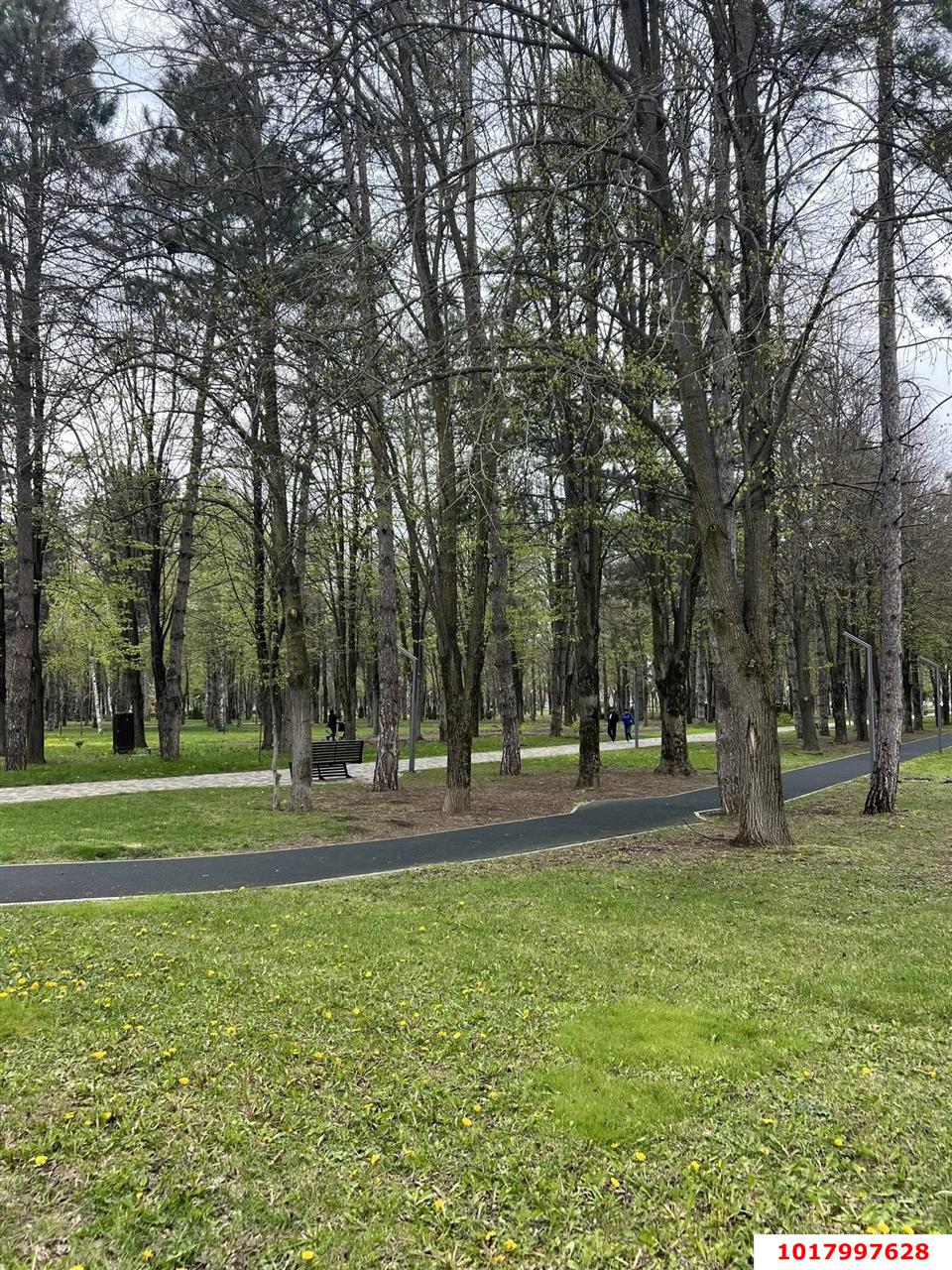 Фото №9: Студия 23&nbsp;м², 2/5&nbsp;эт. - Берёзовый, Прикубанский внутригородской округ, Прогресс, мкр. жилой комплекс Прогресс, ул. имени Туполева А.Н., 1