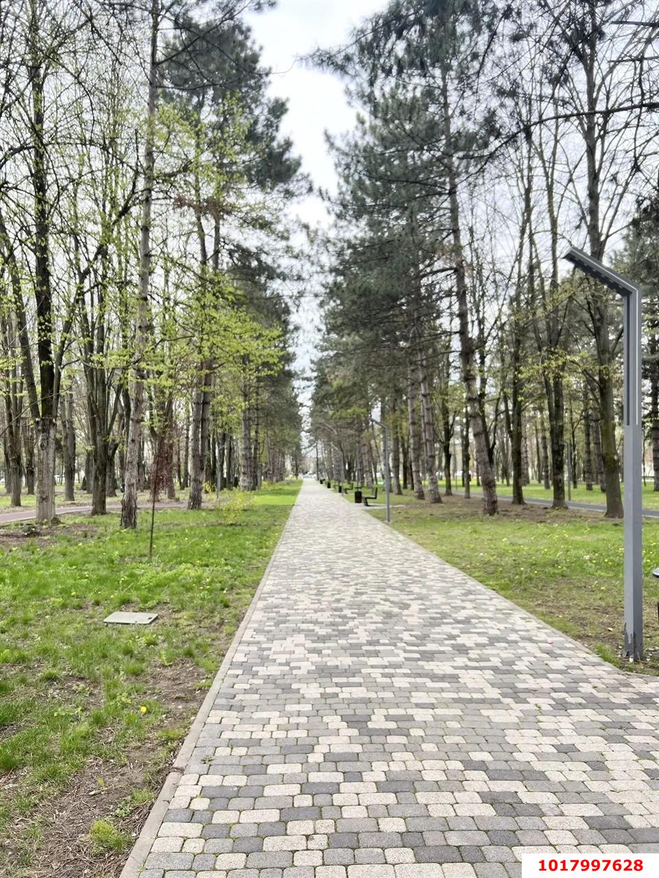 Фото №8: Студия 23&nbsp;м², 2/5&nbsp;эт. - Берёзовый, Прикубанский внутригородской округ, Прогресс, мкр. жилой комплекс Прогресс, ул. имени Туполева А.Н., 1