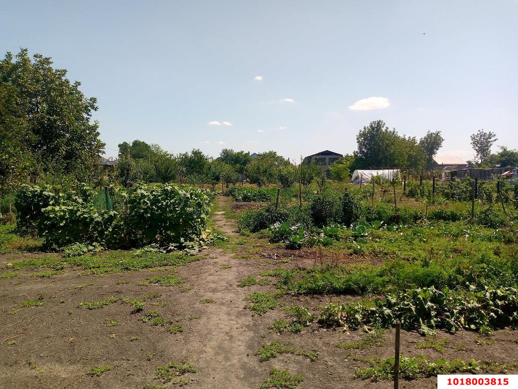 Фото №13: Дом 51&nbsp;м² + 24&nbsp;сот., 1&nbsp;эт. - Старомышастовская, ул. Садовая, 208А